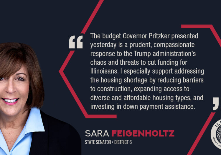 Feigenholtz-BudgetAddress