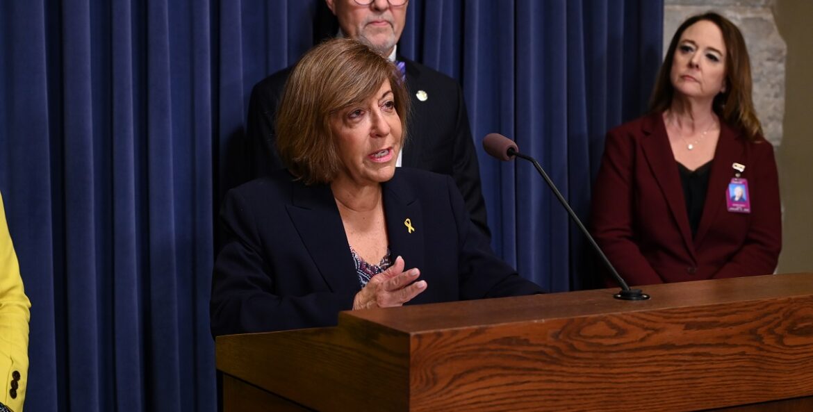 Senator Feigenholtz speaks at a press conference.